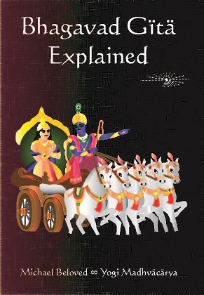 BgExplainedFront320high